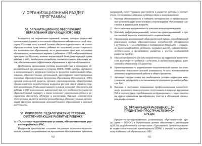 Федеральная адаптированная образовательная программа дошкольного образования для обучающихся с расстройствами аутистического спектра, производитель МОЗАИКА-СИНТЕЗ , ISBN 978-5-43154-517-7 № 4