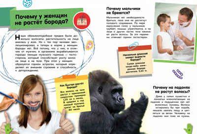 Путеводитель по телу человека. Вопросы и ответы. Канаван Т. Энциклопедии, производитель Махаон , ISBN 978-5-38917-750-5 № 4