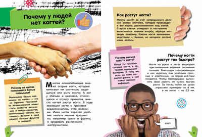 Путеводитель по телу человека. Вопросы и ответы. Канаван Т. Энциклопедии, производитель Махаон , ISBN 978-5-38917-750-5 № 6
