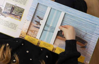 Животные (Рентгенорама), книги с подвижными элементами, производитель МОЗАИКА kids , ISBN 978-5-43154-685-3 № 8