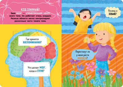 Книжка с окошками. Как устроено тело человека. И другие интересные вопросы/Мосс Р., производитель Клевер (Clever) , ISBN 978-5-00211-782-6 № 4