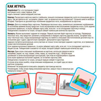 Игра настольная Bondibon Бонди Логика «ГДЕ ЖЕ КОТ?», BOX, арт. ВВ5669, производитель Bondibon (Бондибон), ISBN 489-5-13605-971-0 № 4