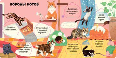 Книжка с окошками. Любимые животные. Энциклопедия с окошками, производитель Клевер (Clever) , ISBN 978-5-00211-766-6 № 3