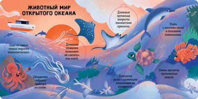 Книжка с окошками. Океаны и моря. Энциклопедия с окошками, производитель Клевер (Clever) , ISBN 978-5-00211-767-3 № 2