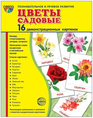 Демонстрационные картинки СУПЕР. Цветы садовые. 16 демонстрационных картинок с текстом, производитель Сфера ТЦ , ISBN 978-5-99493-703-7 № 1