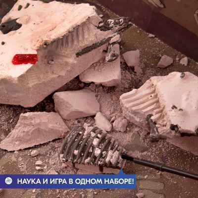 Раскопай скелет. Брахиозавр, арт. 00-03237, производитель 4М, ISBN 489-3-15603-237-9 № 4