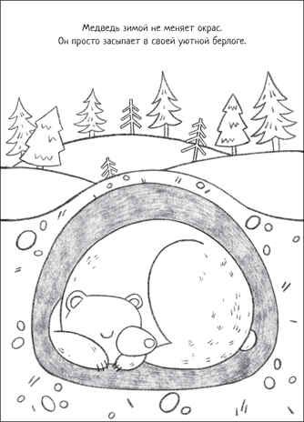 Времена года (Познавательные раскраски), производитель МОЗАИКА kids , ISBN 978-5-43152-348-9 № 2