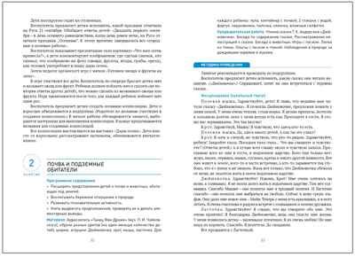 Ознакомление с природой в детском саду. 6-7 лет. Методическое пособие. ФГОС. ФОП, производитель МОЗАИКА-СИНТЕЗ , ISBN 978-5-43154-344-9 № 3