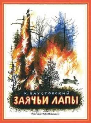 Камешки. "Заячьи лапы", производитель Издательский Дом Мещерякова, ISBN 978-5-91045-729-8 № 1