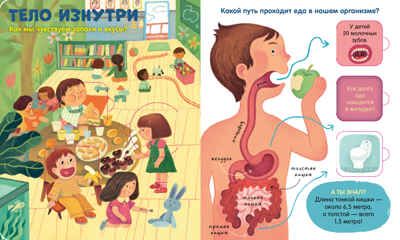 Книжка с окошками. Тело человека, производитель Клевер (Clever) , ISBN 978-5-00211-697-3 № 3