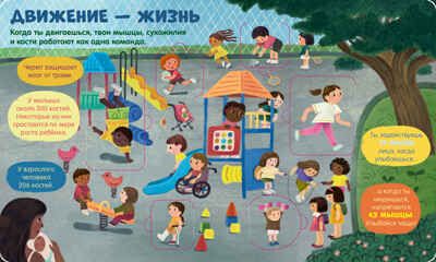 Книжка с окошками. Тело человека, производитель Клевер (Clever) , ISBN 978-5-00211-697-3 № 6