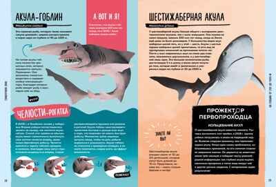 Мир вокруг тебя. Тайны мирового океана, производитель Махаон , ISBN 978-5-38919-673-5 № 5