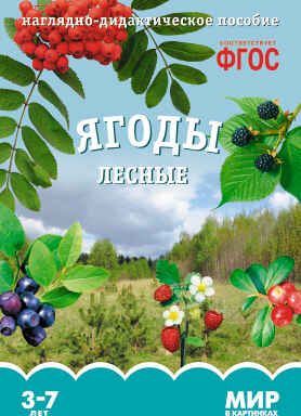 ФГОС Мир в картинках. Ягоды лесные., производитель МОЗАИКА-СИНТЕЗ , ISBN 978-5-43150-591-1 № 1
