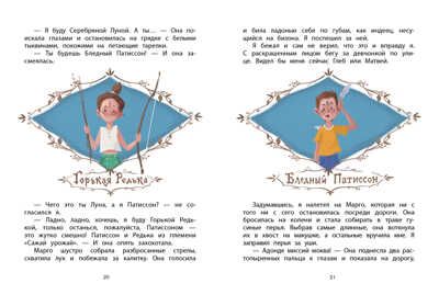 ДХЛ. Патиссон и Горькая Редька Весова Юлия, производитель Стрекоза , ISBN 978-5-99514-963-7 № 2