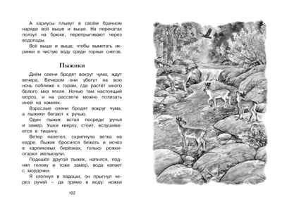 Беспокойный хвостик. Снегирёв Г. Чтение-лучшее учение, производитель Махаон , ISBN 978-5-38918-711-5 № 5