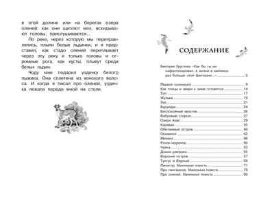 Беспокойный хвостик. Снегирёв Г. Чтение-лучшее учение, производитель Махаон , ISBN 978-5-38918-711-5 № 7