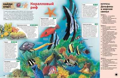 Интерактивная энциклопедия для школьников. Гиффорд К., Мейсон К., О'Брайен С. Энциклопедии, производитель Махаон , ISBN 978-5-38916-996-8 № 2