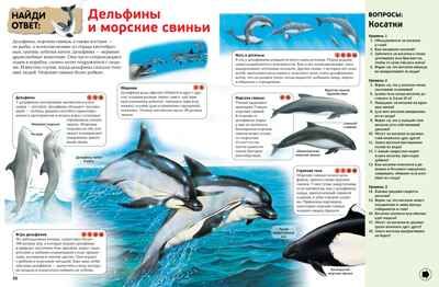 Интерактивная энциклопедия для школьников. Гиффорд К., Мейсон К., О'Брайен С. Энциклопедии, производитель Махаон , ISBN 978-5-38916-996-8 № 3