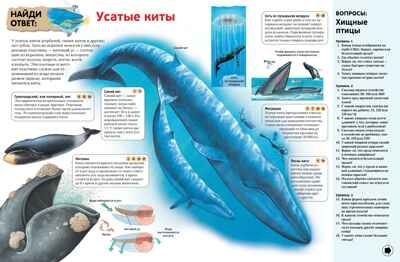 Интерактивная энциклопедия для школьников. Гиффорд К., Мейсон К., О'Брайен С. Энциклопедии, производитель Махаон , ISBN 978-5-38916-996-8 № 4