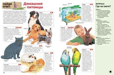 Интерактивная энциклопедия для школьников. Гиффорд К., Мейсон К., О'Брайен С. Энциклопедии, производитель Махаон , ISBN 978-5-38916-996-8 № 7