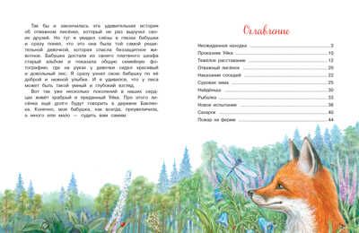 ДХЛ. Приключения Уйки Лопатина-Кибис Елена, производитель Стрекоза , ISBN 978-5-99515-259-0 № 5