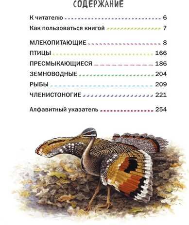Все животные с крупными буквами. Ананьева Е.Г. Атласы и энциклопедии, производитель Эксмо , ISBN 978-5-69990-913-1 № 2