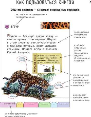 Все животные с крупными буквами. Ананьева Е.Г. Атласы и энциклопедии, производитель Эксмо , ISBN 978-5-69990-913-1 № 3