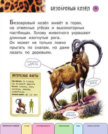 Все животные с крупными буквами. Ананьева Е.Г. Атласы и энциклопедии, производитель Эксмо , ISBN 978-5-69990-913-1 № 6