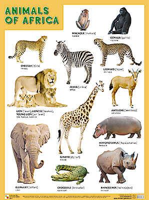 ANIMALS OF AFRICA (Животные Африки), плакат 45х60, производитель МОЗАИКА-СИНТЕЗ , ISBN 978-5-43150-863-9 № 1