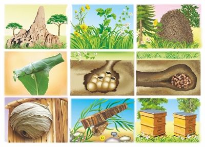 Знакомые незнакомцы. Игровое пособие к Логическому экрану I, арт. 4680000430661, производитель Корвет, ISBN 468-0-00043-066-1 № 3