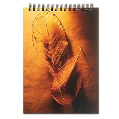 Бизнес-блокнот Herbarium 1, А5, 80 листов в клетку, арт. NBA5-GR-e1, производитель ФАРМ, ISBN 460-2-72305-075-9 № 1