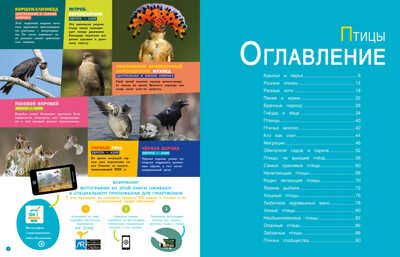 Птицы. Энциклопедии c фото и видео приложениями, производитель Стрекоза , ISBN 978-5-99514-682-7 № 2