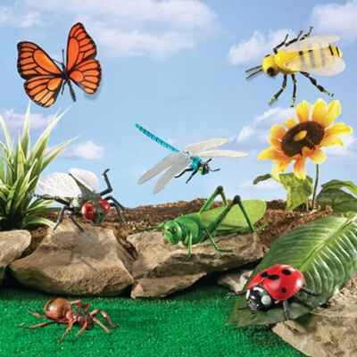 Развивающая игрушка Насекомые 7 элементов, арт. LER0789, производитель Learning Resources, ISBN 76-5-02380-789-9 № 5