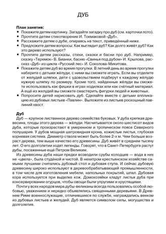 Деревья. Наглядно-дидактический материал в папках ФГОС, производитель Стрекоза , ISBN 978-5-99515-440-2 № 3