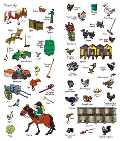 На ферме. Лаваль Т. Найди и покажи, производитель Клевер (Clever) , ISBN 978-5-90685-696-8 № 6