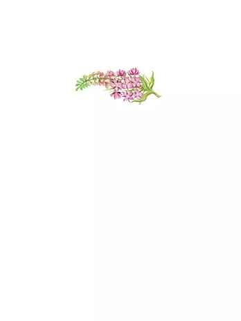 Растрёпанный воробей. Паустовский К. Г., производитель АСТ , ISBN 978-5-17159-987-4 № 3