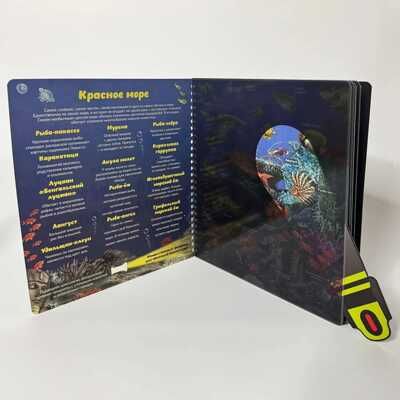 Книжка с фонариком Кто живёт под водой?, производитель БимБиМон, ISBN 978-5-90766-442-5 № 7