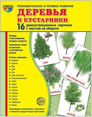 Демонстрационные картинки СУПЕР. Деревья и кустарники. 16 демонстрационных картинок с текстом, производитель Сфера ТЦ , ISBN 978-5-99493-630-6 № 1