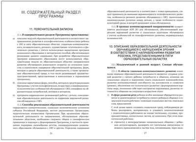 Федеральная адаптированная образовательная программа дошкольного образования для обучающихся с нарушениями зрения, производитель МОЗАИКА-СИНТЕЗ , ISBN 978-5-43154-495-8 № 3