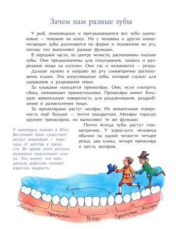 Зубная книжка, производитель Настя и Никита , ISBN 978-5-90795-336-9 № 3