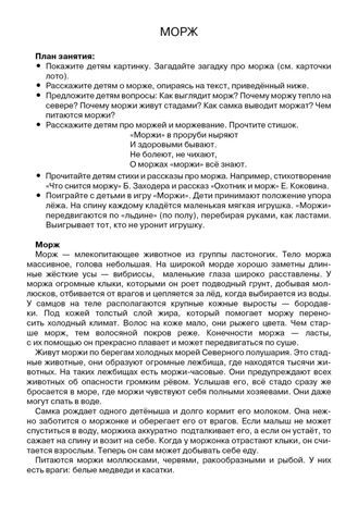 Животные Арктики и Антарктики. Наглядно-дидактический материал в папках ФГОС, производитель Стрекоза , ISBN 978-5-99515-443-3 № 4