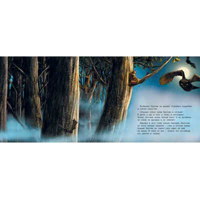 Хочу быть храбрым! Нут Х. Вот так история!, производитель ЭНАС-КНИГА , ISBN 978-5-91921-558-5 № 5