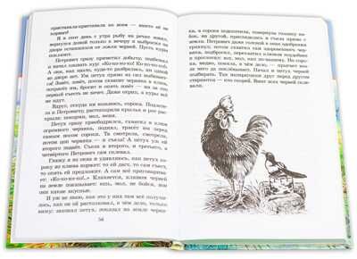 Школьная библиотека. Скребицкий. Длиннохвостые разбойники, производитель Детская литература, ISBN 978-5-08006-783-9 № 3