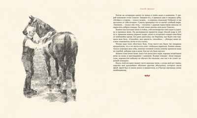 Чёрный Красавчик. Сьюэлл А. Книги с иллюстрациями Роберта Ингпена, производитель Махаон , ISBN 978-5-38917-402-3 № 4