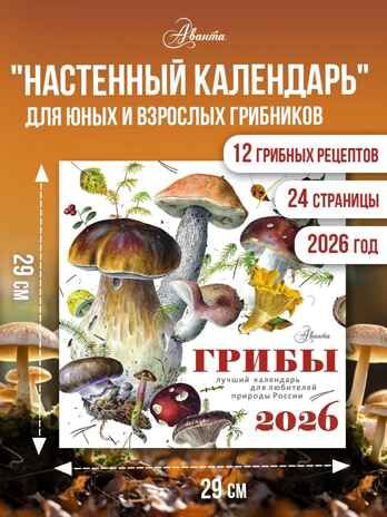 Календарь Грибы 2026 год, производитель АСТ , ISBN 978-5-17173-963-8 № 1