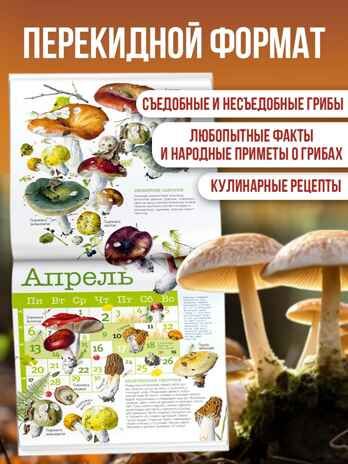 Календарь Грибы 2026 год, производитель АСТ , ISBN 978-5-17173-963-8 № 2