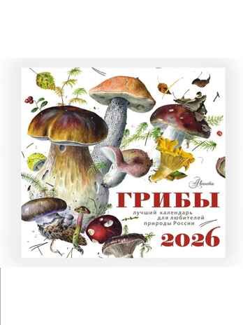 Календарь Грибы 2026 год, производитель АСТ , ISBN 978-5-17173-963-8 № 4