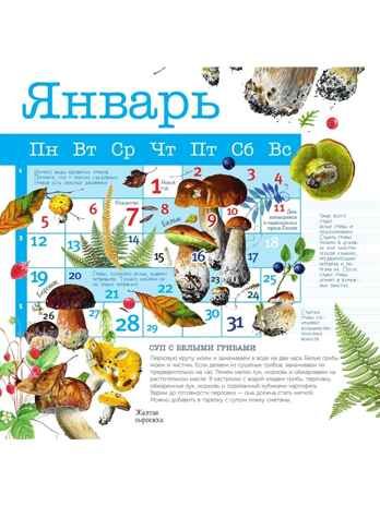 Календарь Грибы 2026 год, производитель АСТ , ISBN 978-5-17173-963-8 № 5