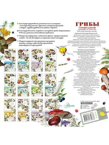 Календарь Грибы 2026 год, производитель АСТ , ISBN 978-5-17173-963-8 № 6