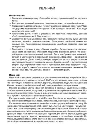 Лесные и полевые цветы. Наглядно-дидактический материал в папках ФГОС, производитель Стрекоза , ISBN 978-5-99515-446-4 № 4
